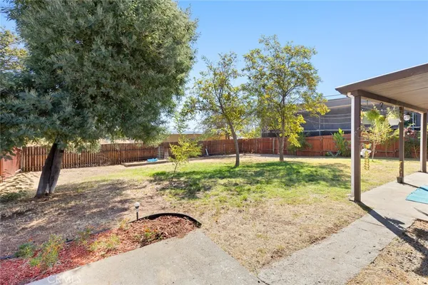 a view of backyard with tree