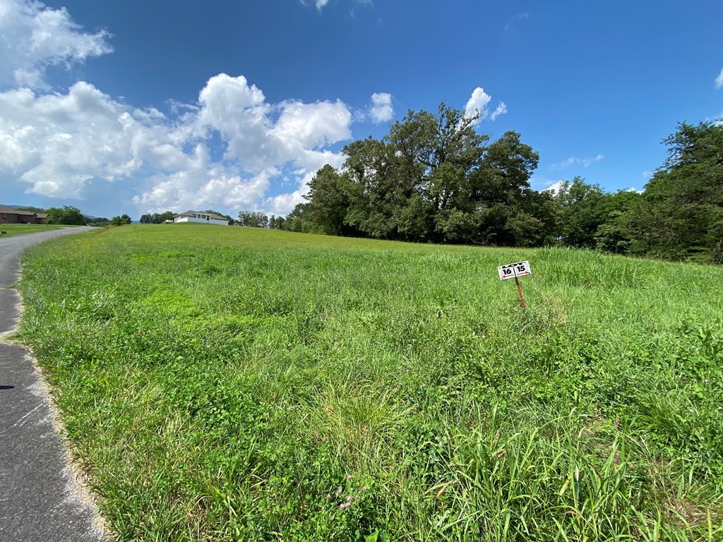 16 Buttercup Way Newport, TN 37821 - Photo 6 of 7