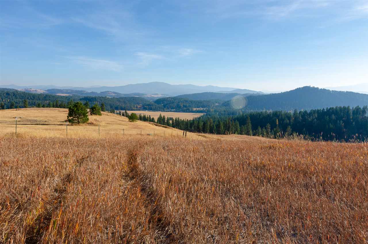 410 Poor Farm Road Colville, WA 99114 - Photo 11 of 13