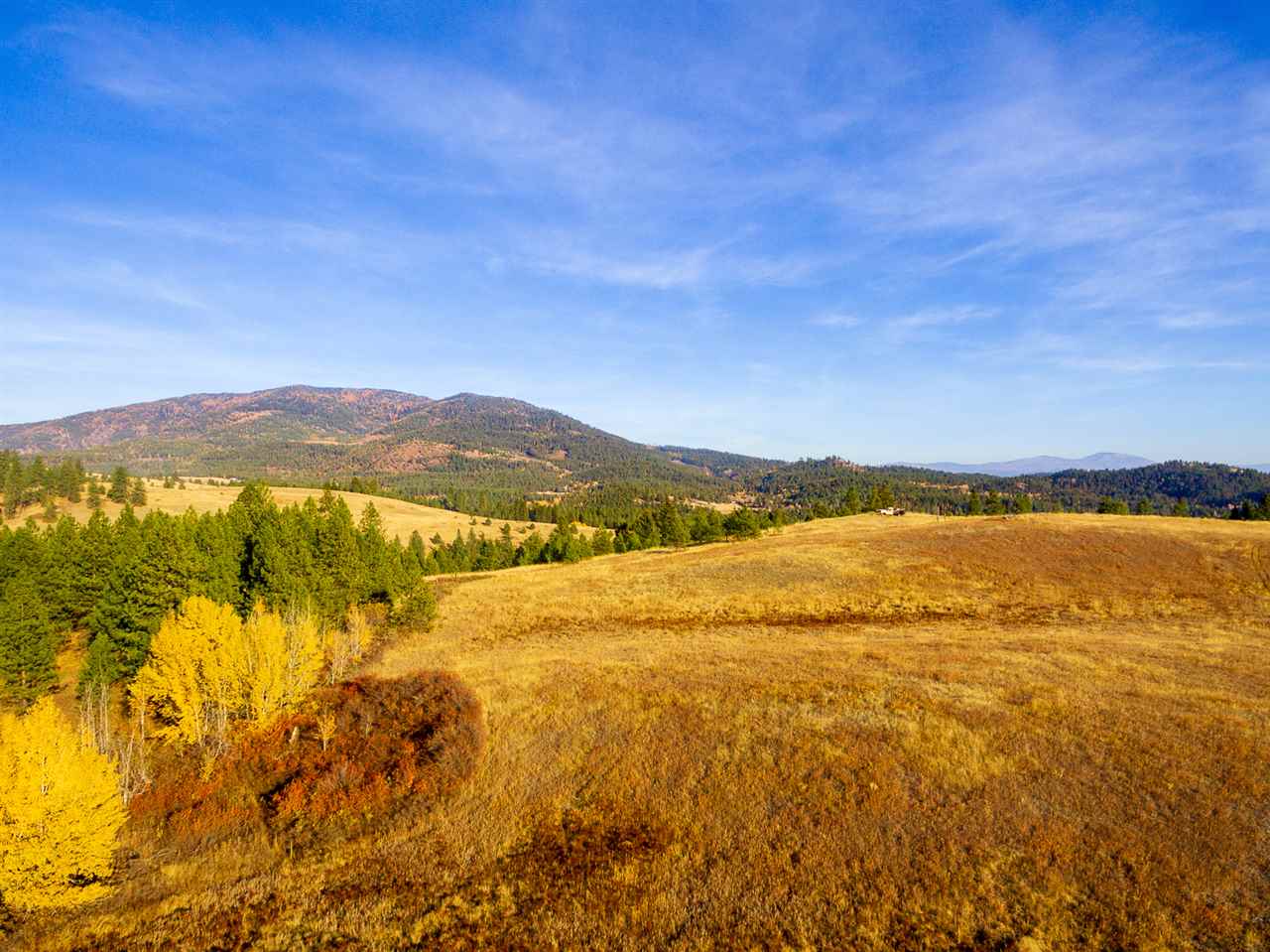 410 Poor Farm Road Colville, WA 99114 - Photo 4 of 13