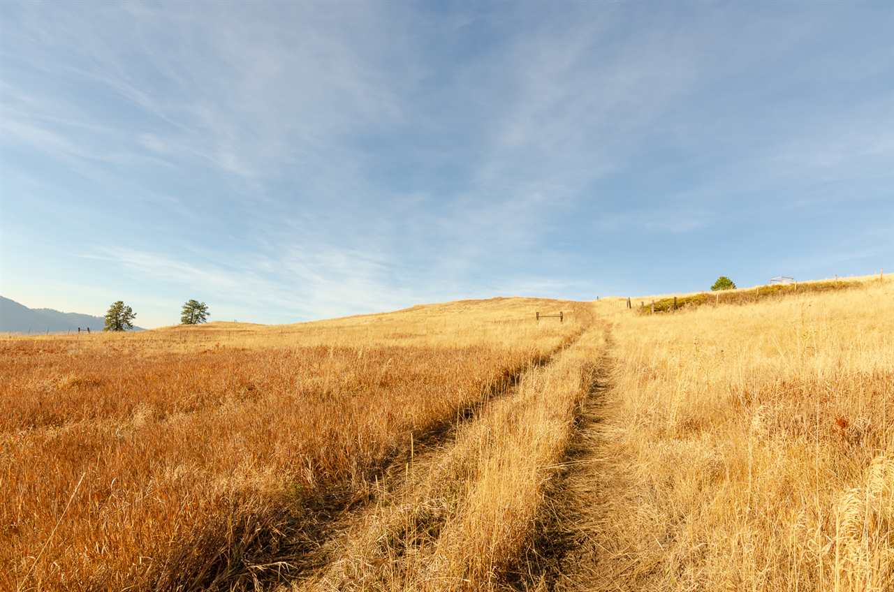 410 Poor Farm Road Colville, WA 99114 - Photo 8 of 13