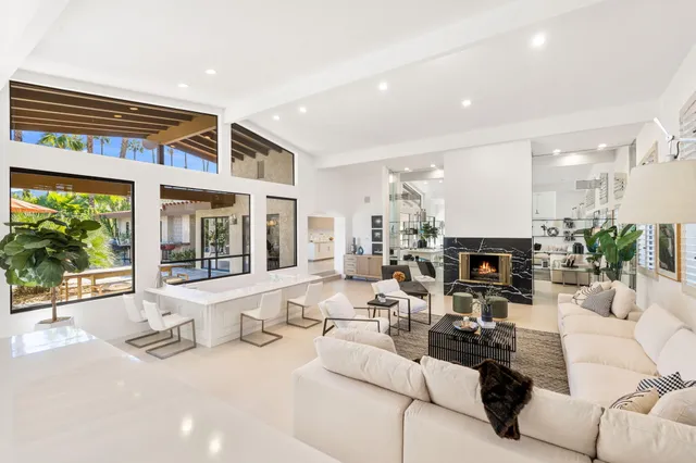 a living room with furniture fireplace and potted plant