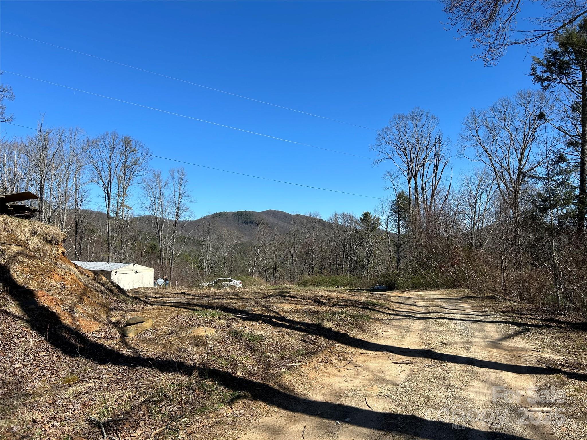 612 Heady Mountain Road Cashiers, NC 28717 - Photo 2 of 5 a view of a backyard of a house