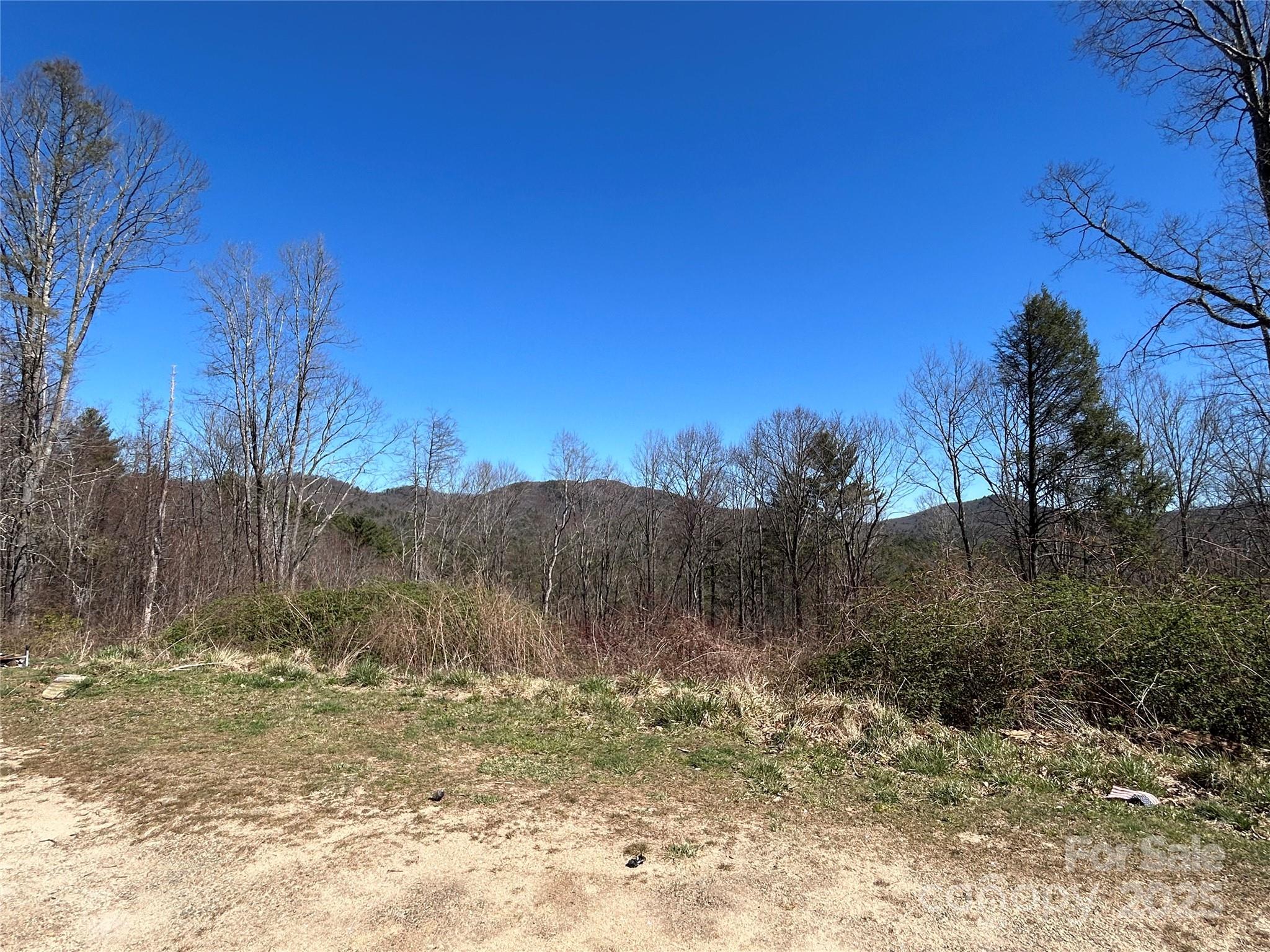 612 Heady Mountain Road Cashiers, NC 28717 - Photo 5 of 5 a view of a dry yard with trees