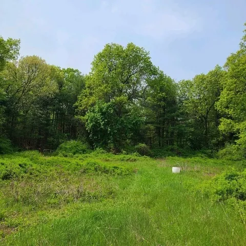 a backyard of a house with lots of green space