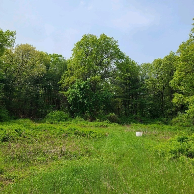 301 Tinkham Road Springfield, MA 01129 - Photo 4 of 4 a backyard of a house with lots of green space