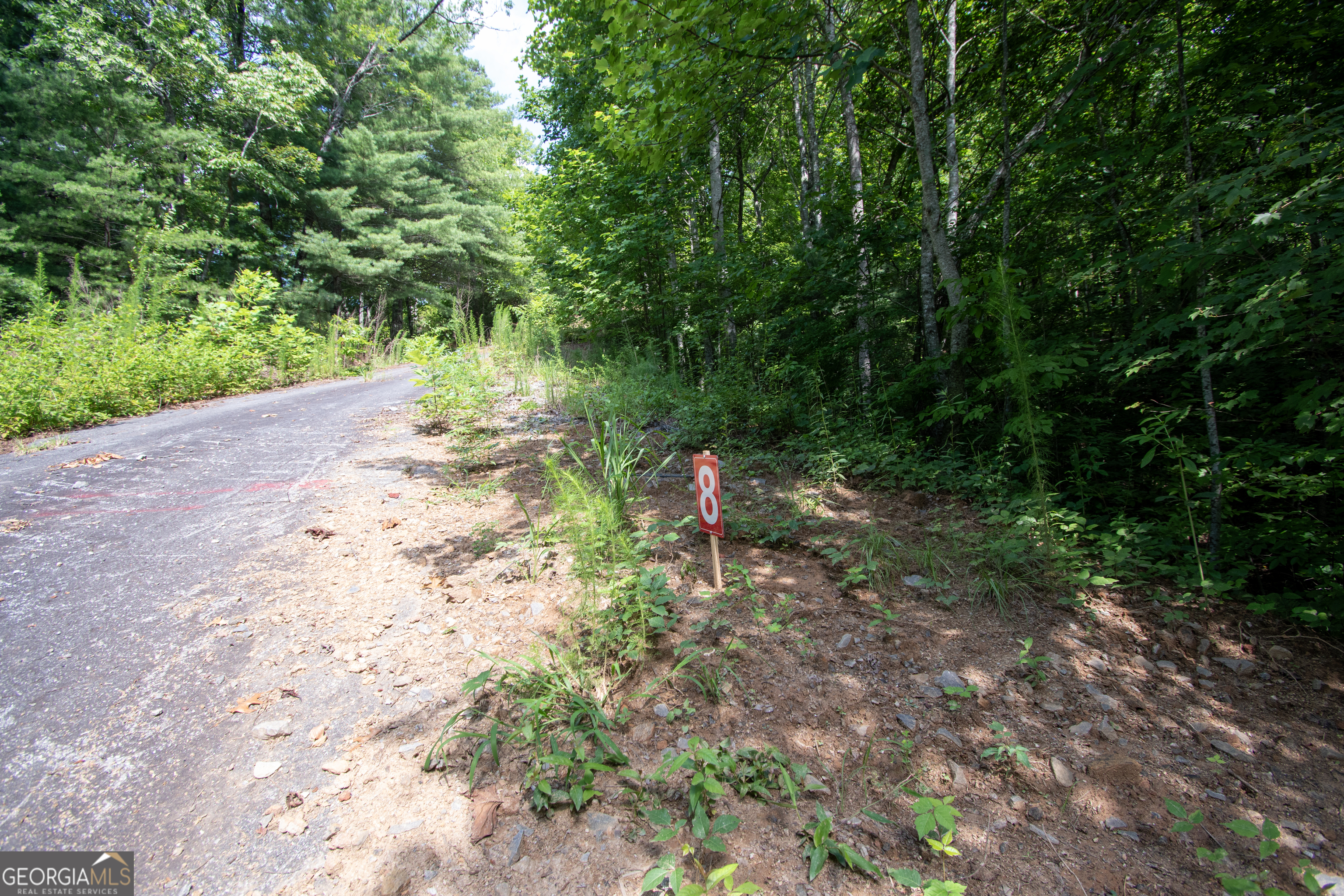 850 Bluff Road Marble, NC 28905 - Photo 12 of 31 Gallery Image 12