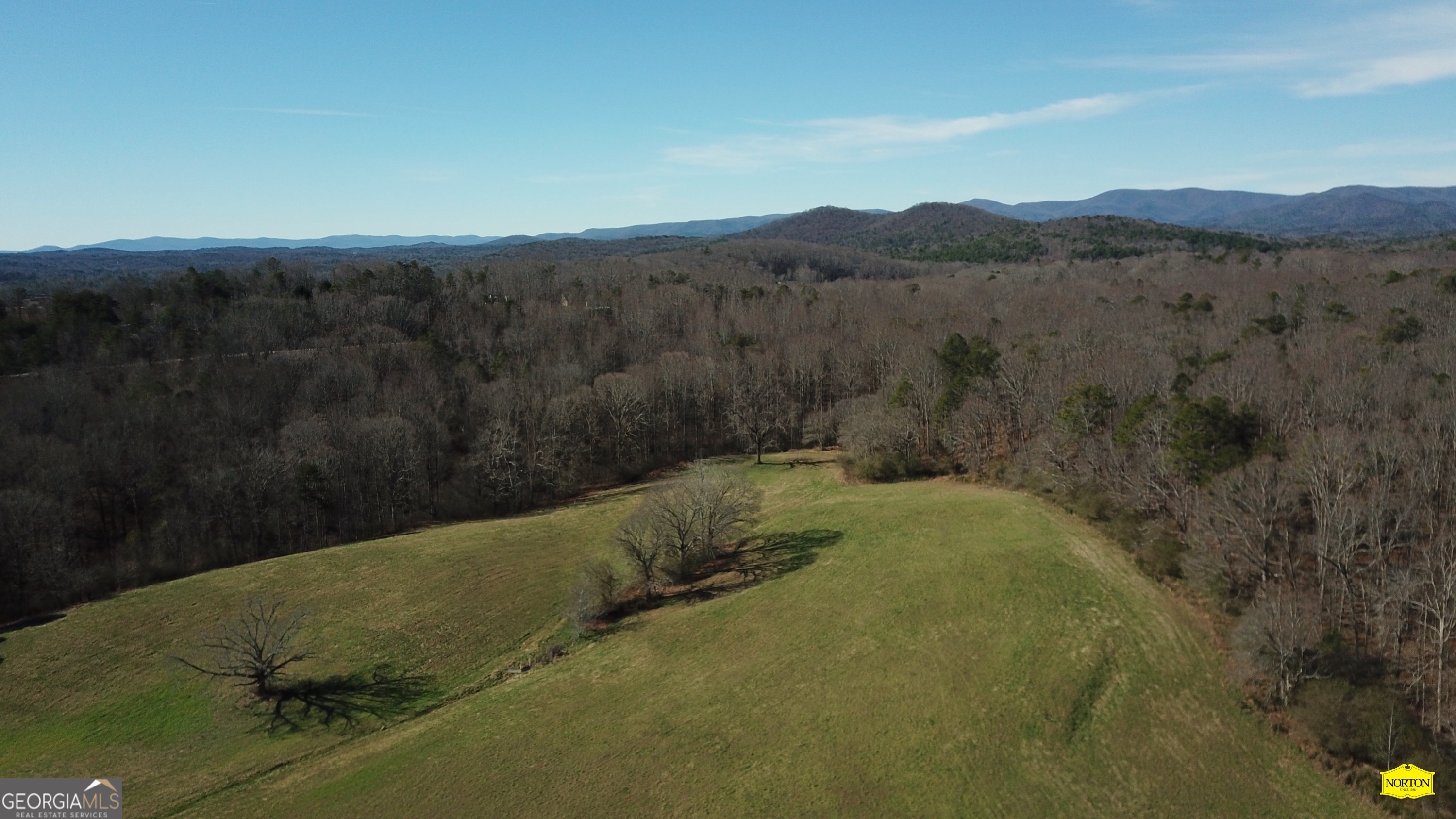 0 Hightower Church Road Dahlonega, GA 30533 - Photo 4 of 6 a view of a backyard with green space