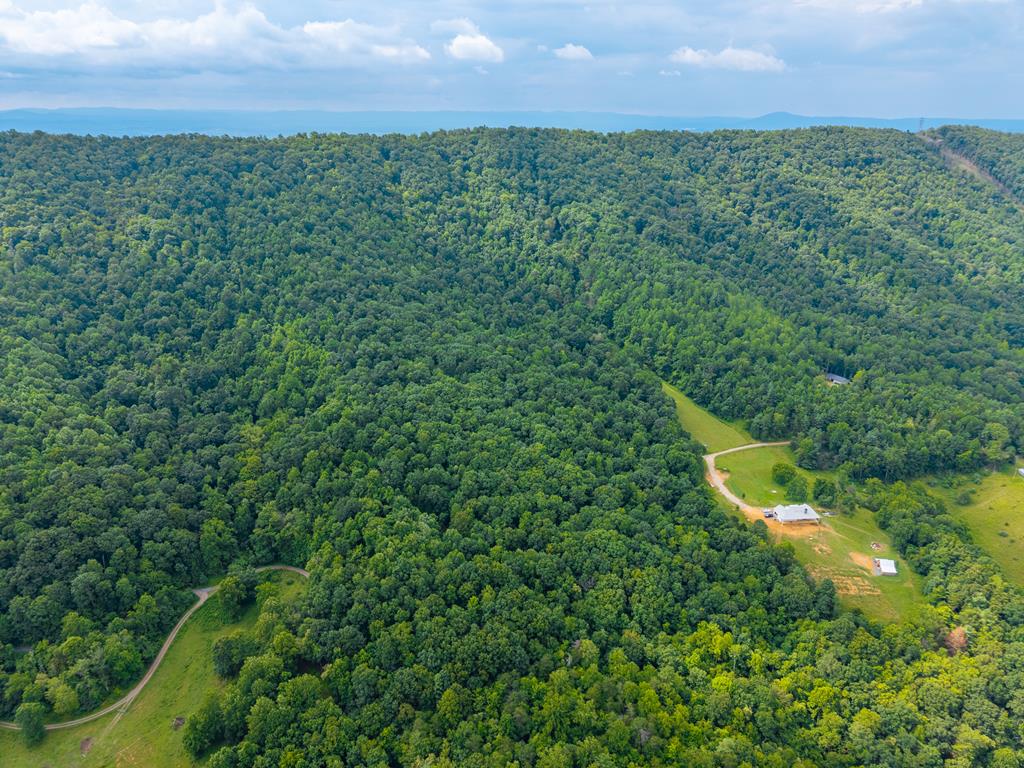 Lot G Springdale Road, Unit G Pearisburg, VA 24134 - Photo 40 of 62 Gallery Image 40