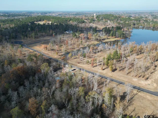 a view of a dry yard with green space