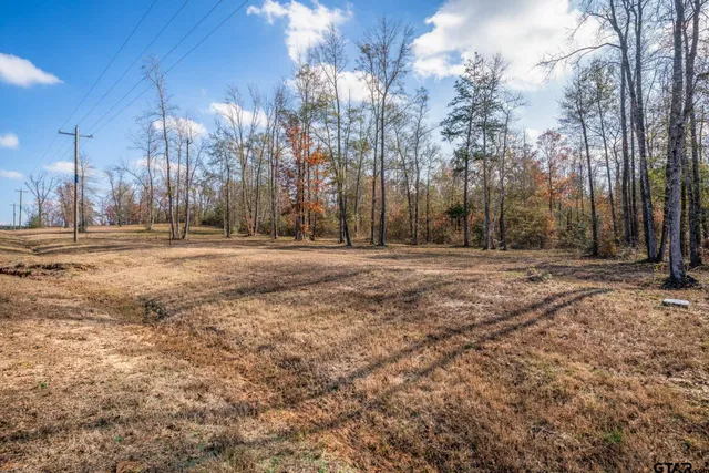 a backyard of a house with trees