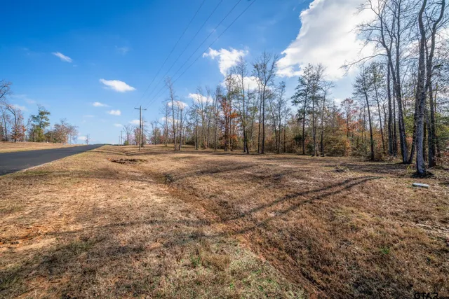 a view of dirt yard with large trees