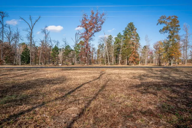 a view of outdoor space with green field