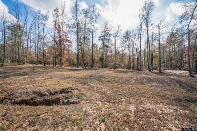 a backyard of a house with large trees