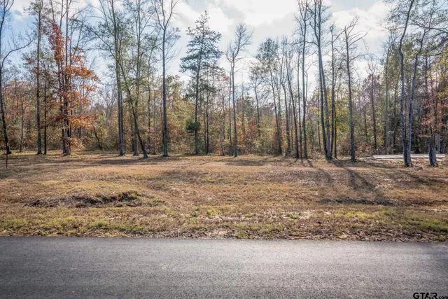 a row of trees with a house