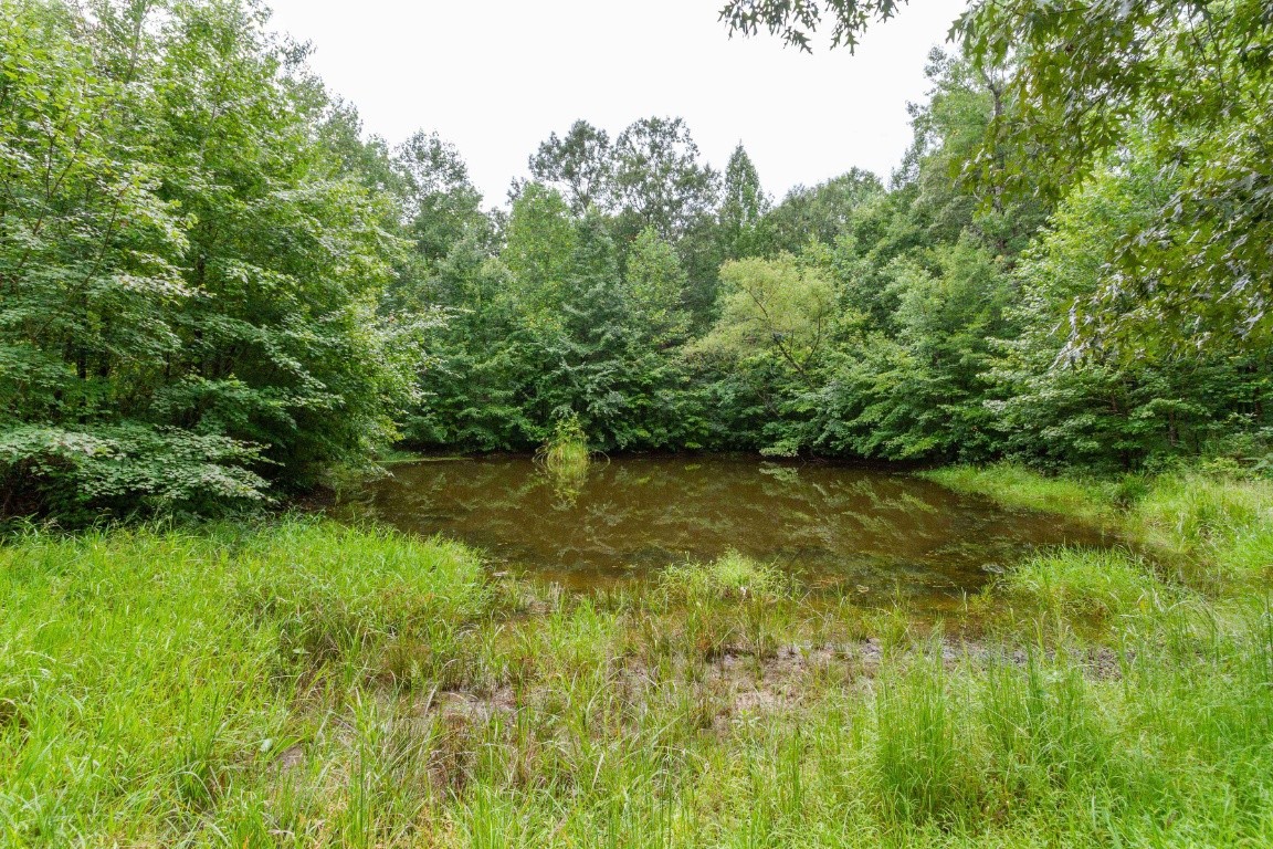 352 Thacker Road Manchester, TN 37355 - Photo 39 of 46 Gallery Image 39