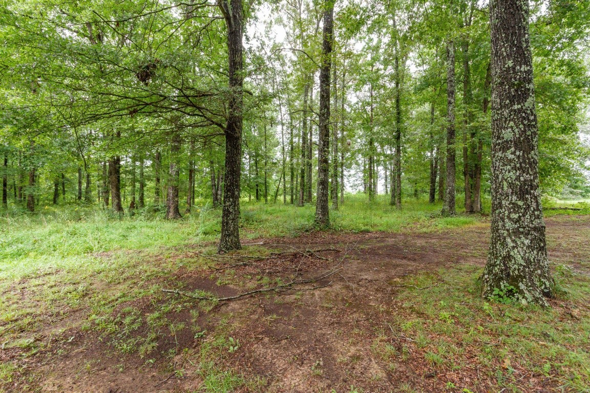 352 Thacker Road Manchester, TN 37355 - Photo 40 of 46 Gallery Image 40