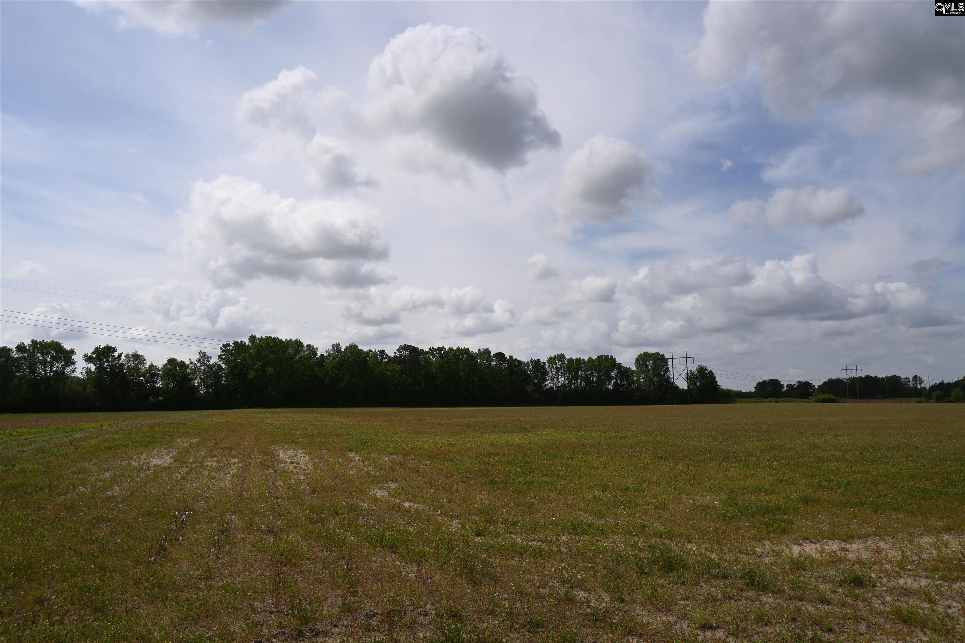 Tbd Gallowaytown Road Hartsville, SC 29550 - Photo 24 of 34