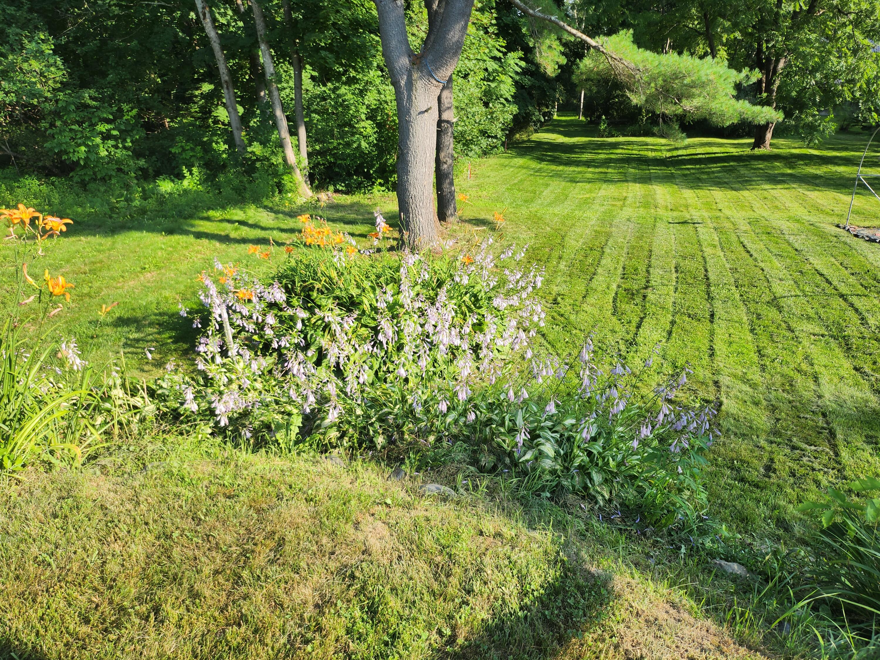 1235 State Street Bangor, ME 04401 - Photo 33 of 49 20230724_173002