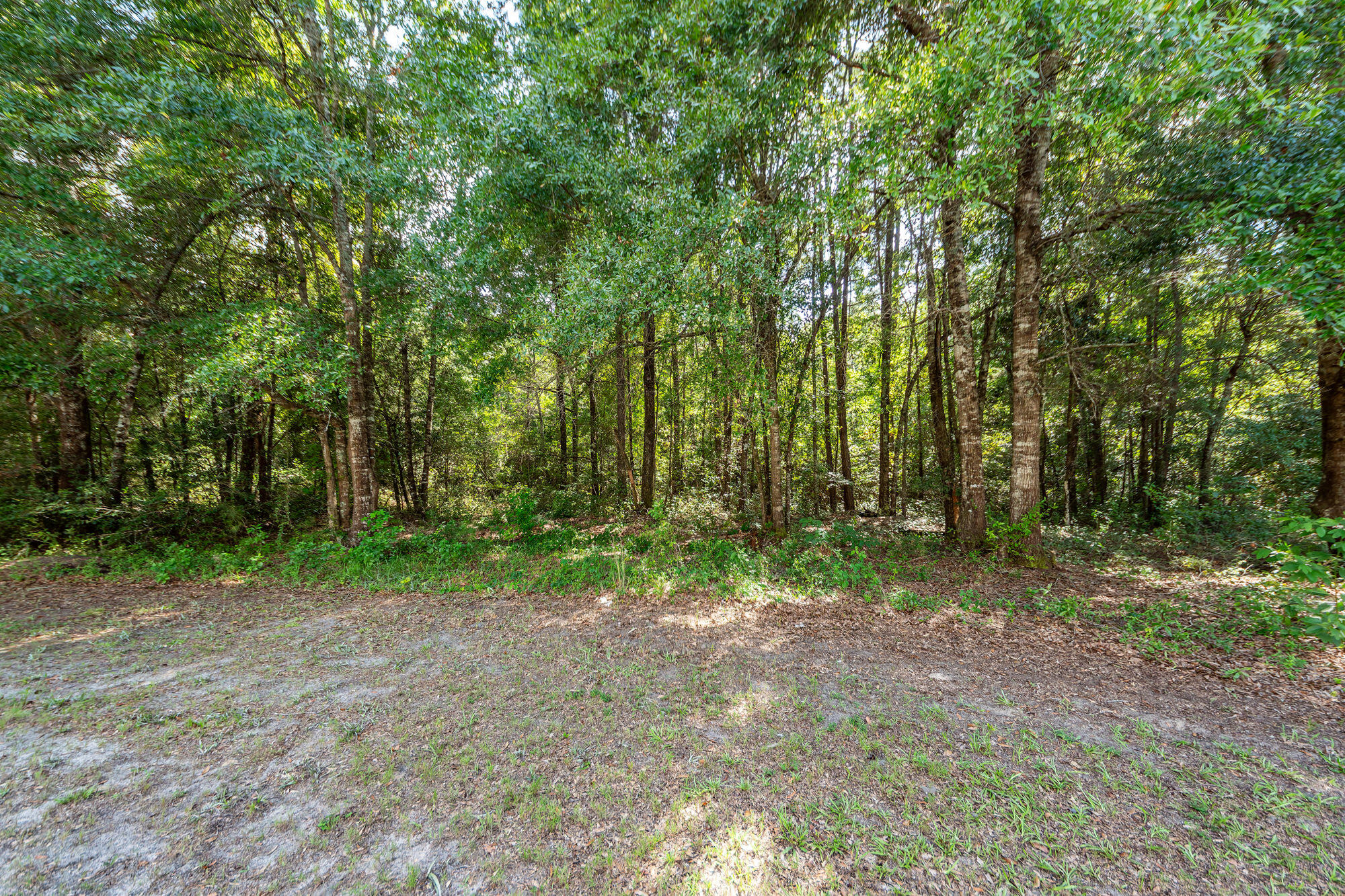 156 Hidden Hills Road Cross, SC 29436 - Photo 44 of 49 41