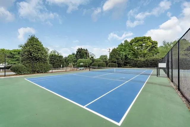 a view of a green yard