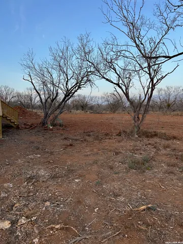 a view of dirt yard with a tree