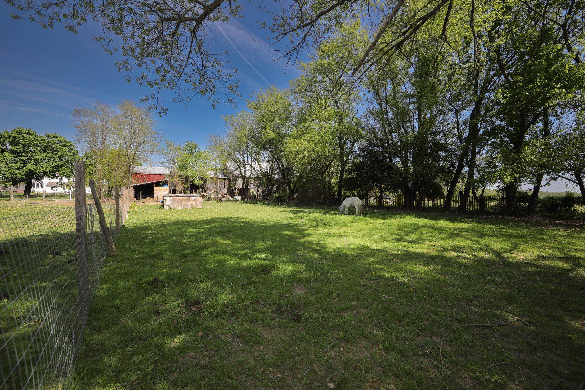 128 Jefferson Road Elmer, NJ 08318 - Photo 37 of 47 a view of yard with green space