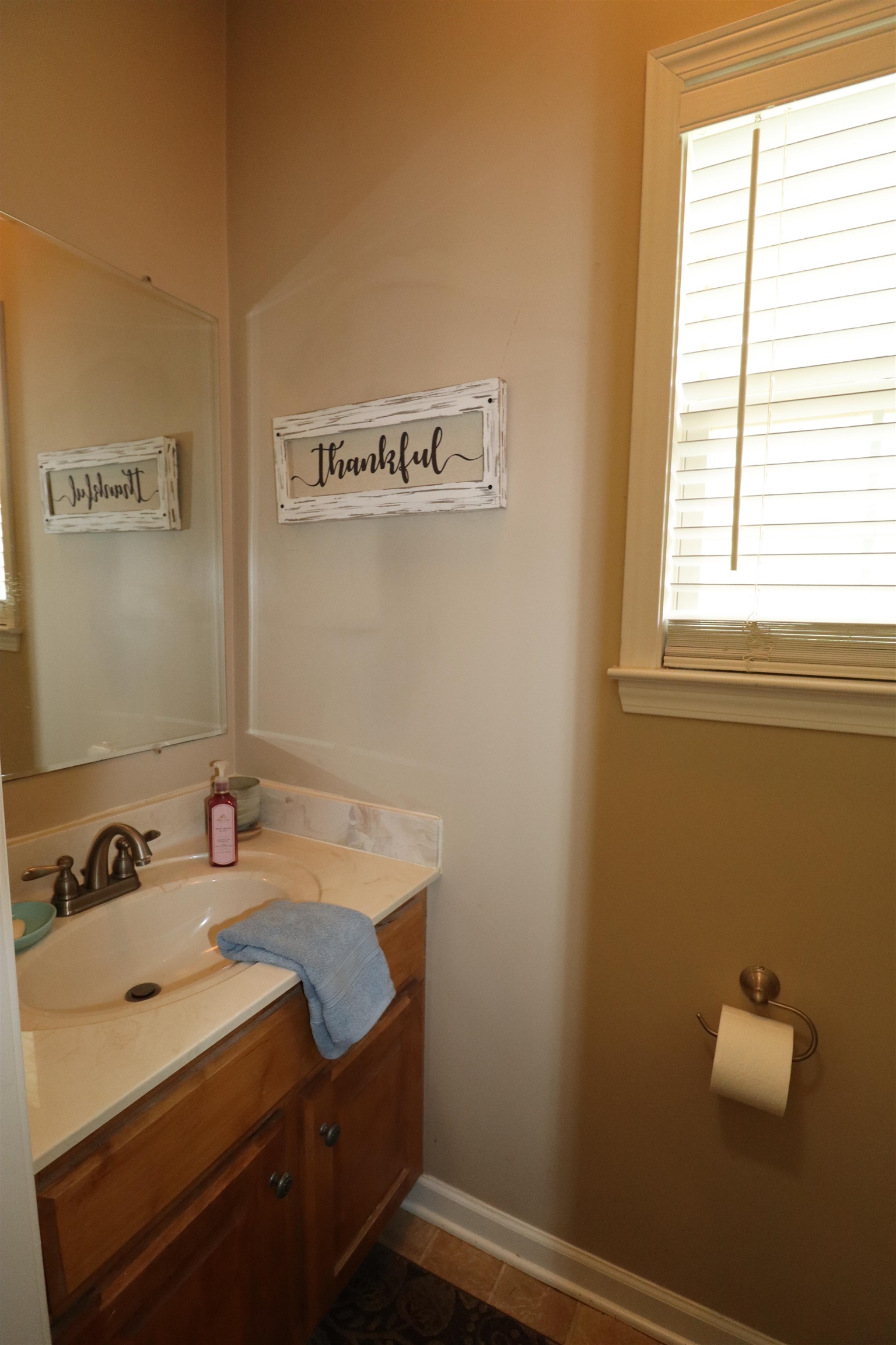 730 Durhamville Road Ripley, TN 38063 - Photo 18 of 40 a bathroom with a sink and a mirror