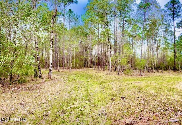 15429 Indian Fork Road Vancleave, MS 39565 - Photo 34 of 63 Trails Abound