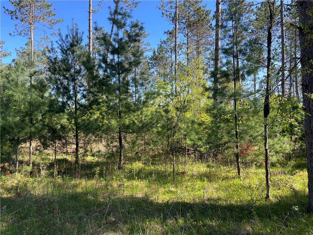 Lot 2 Murphy Boulevard Hayward, WI 54843 - Photo 8 of 10