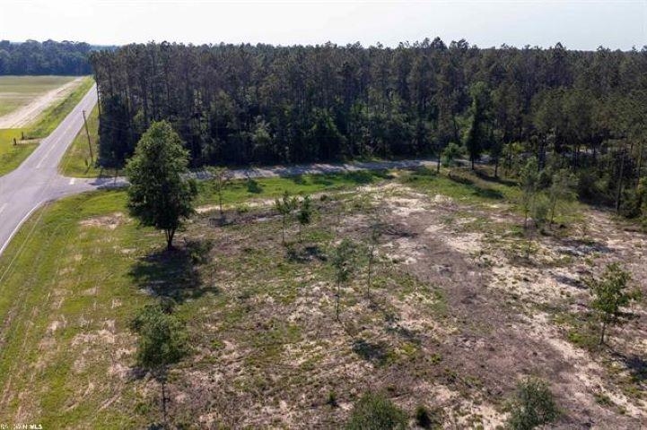 0 Garoadner Road Elberta, AL 36530 - Photo 6 of 9