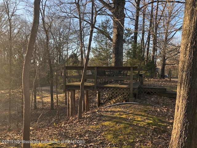 2699 Laverne Road Nesbit, MS 38651 - Photo 25 of 33 IMG_3992
