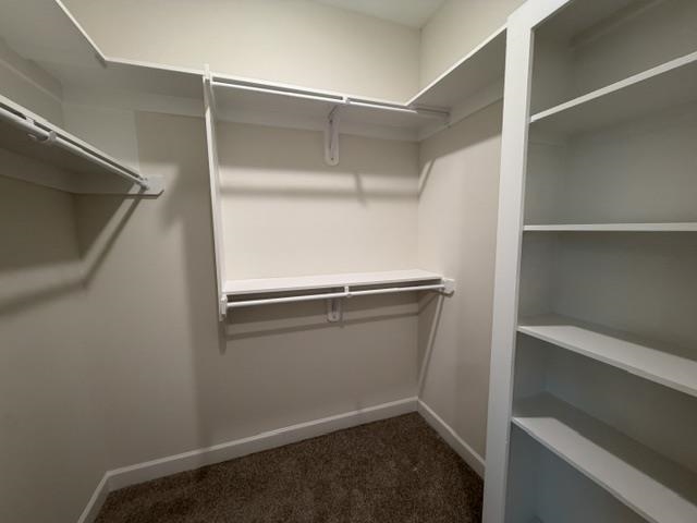 210 Drake Drive Collierville, TN 38017 - Photo 15 of 19 a view of an empty walk in closet