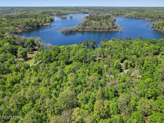 0 Paradise Lakes Road Chipley, FL 32428 - Photo 2 of 7