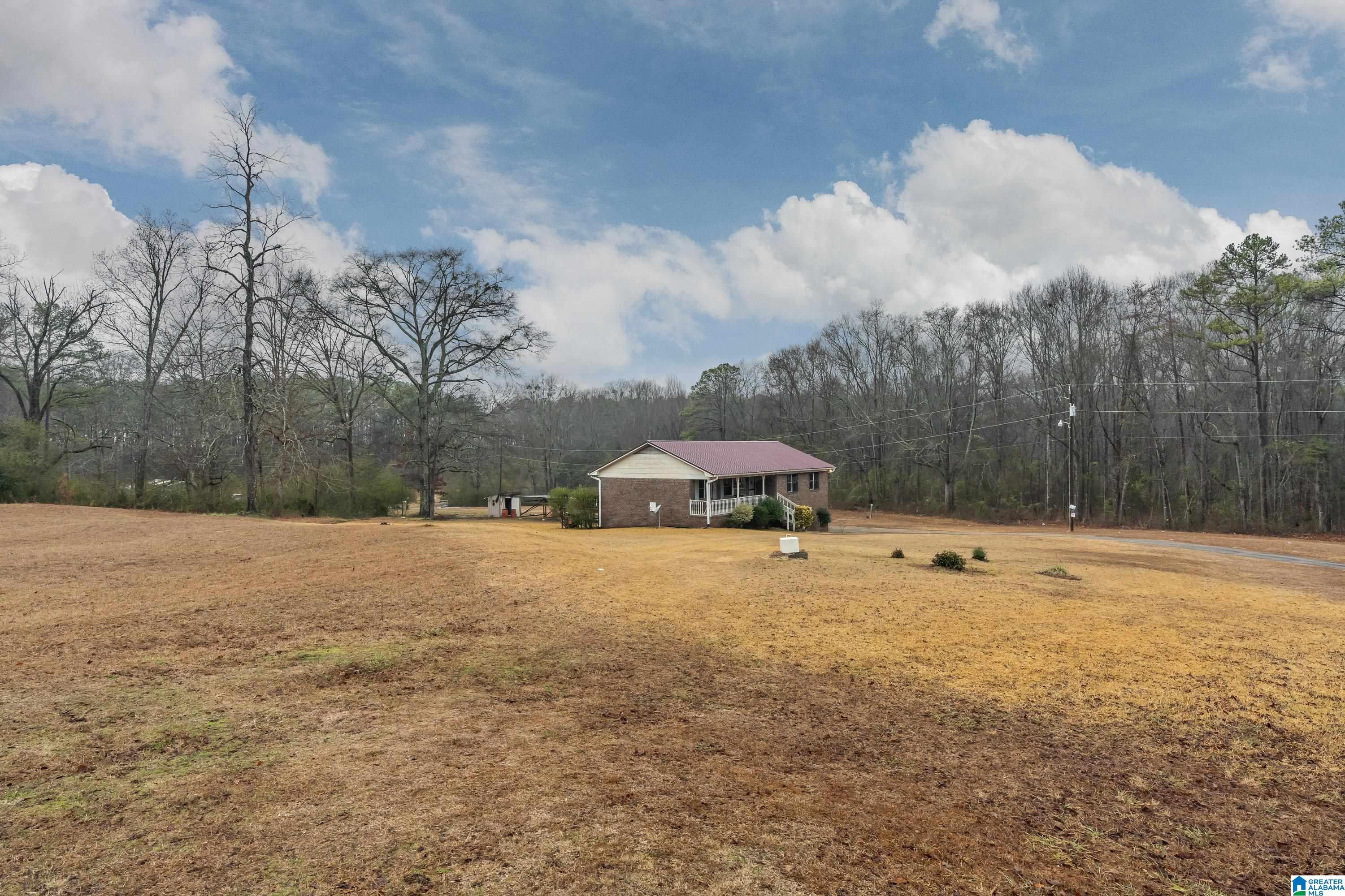 5231 Highway 155 Montevallo, AL 35115 - Photo 2 of 31