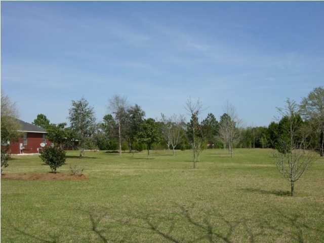 5865 Bush Road Baker, FL 32531 - Photo 22 of 32 a view of a field with trees in the background