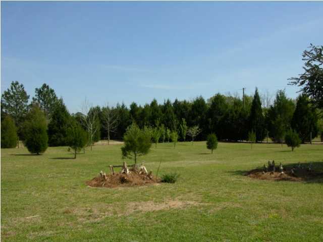 5865 Bush Road Baker, FL 32531 - Photo 23 of 32 a view of a park
