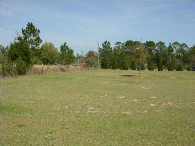 5865 Bush Road Baker, FL 32531 - Photo 32 of 32 a view of a field with an outdoor space
