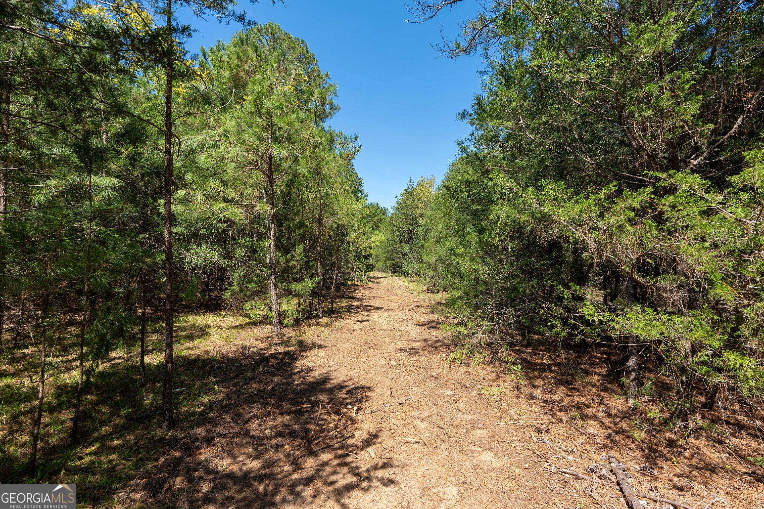 1419 Bobby Brown State Park Road Elberton, GA 30635 - Photo 84 of 90 Gallery Image 84
