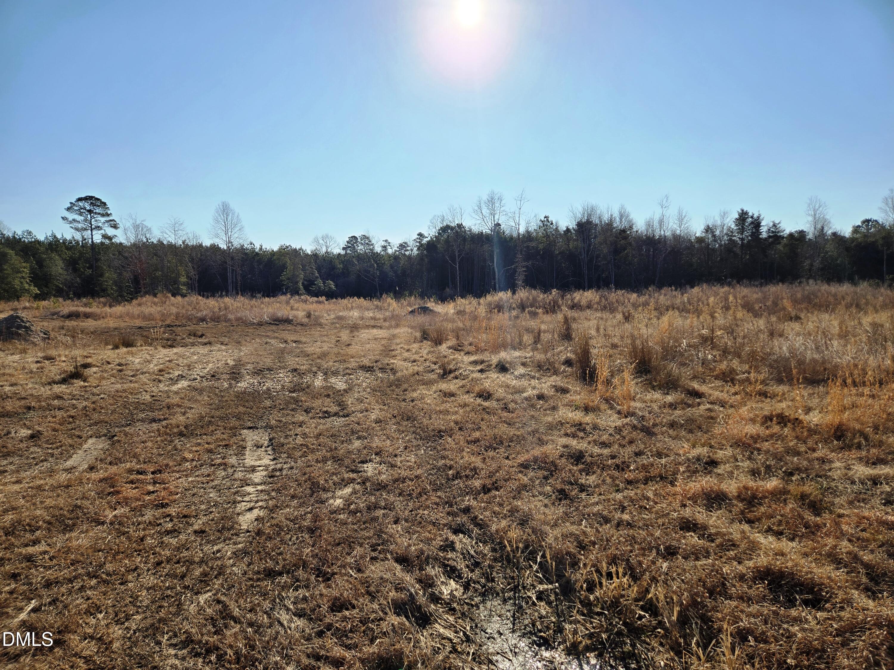 0 Mamie Upchurch Road Lillington, NC 27546 - Photo 6 of 13 a view of lake view and mountain view