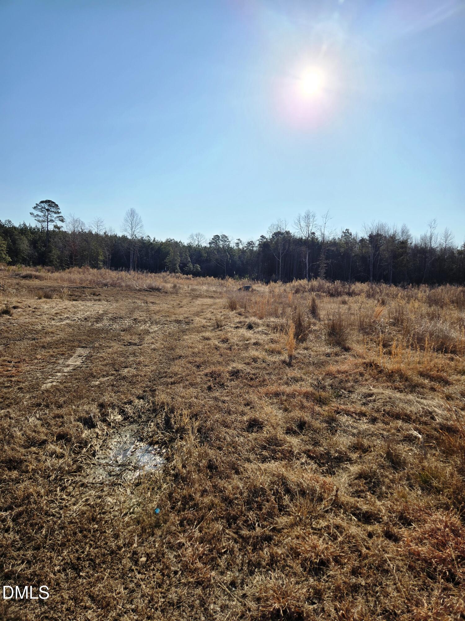 0 Mamie Upchurch Road Lillington, NC 27546 - Photo 9 of 13 a view of lake