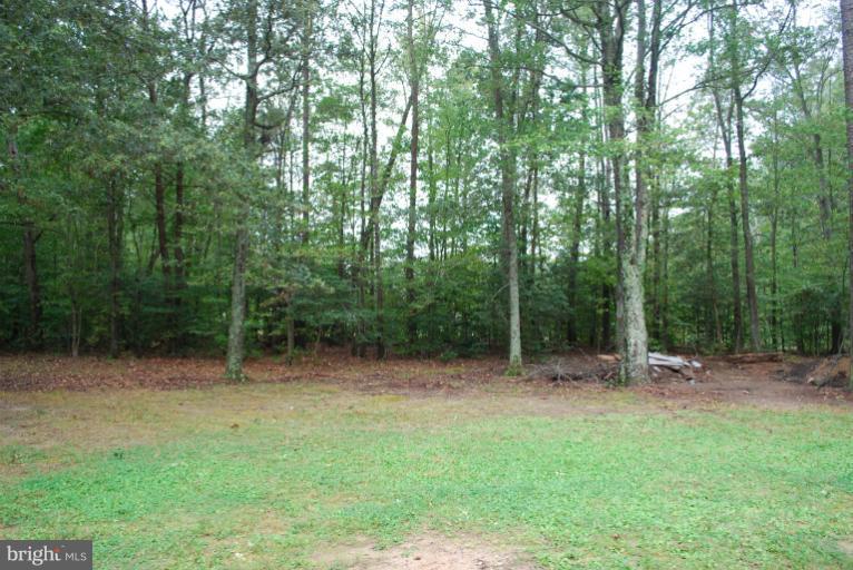 7136 Caledon Road King George, VA 22485 - Photo 16 of 20 View from back of home