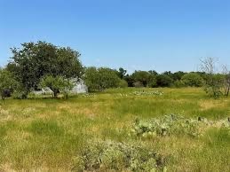 Tbd Tortuga Lane, Unit 15 Junction, TX 76849 - Photo 4 of 7 a view of a field with an ocean view