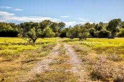 Tbd Tortuga Lane, Unit 15 Junction, TX 76849 - Photo 5 of 7 a view of a yard with an ocean and trees