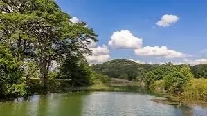 a view of lake with green space