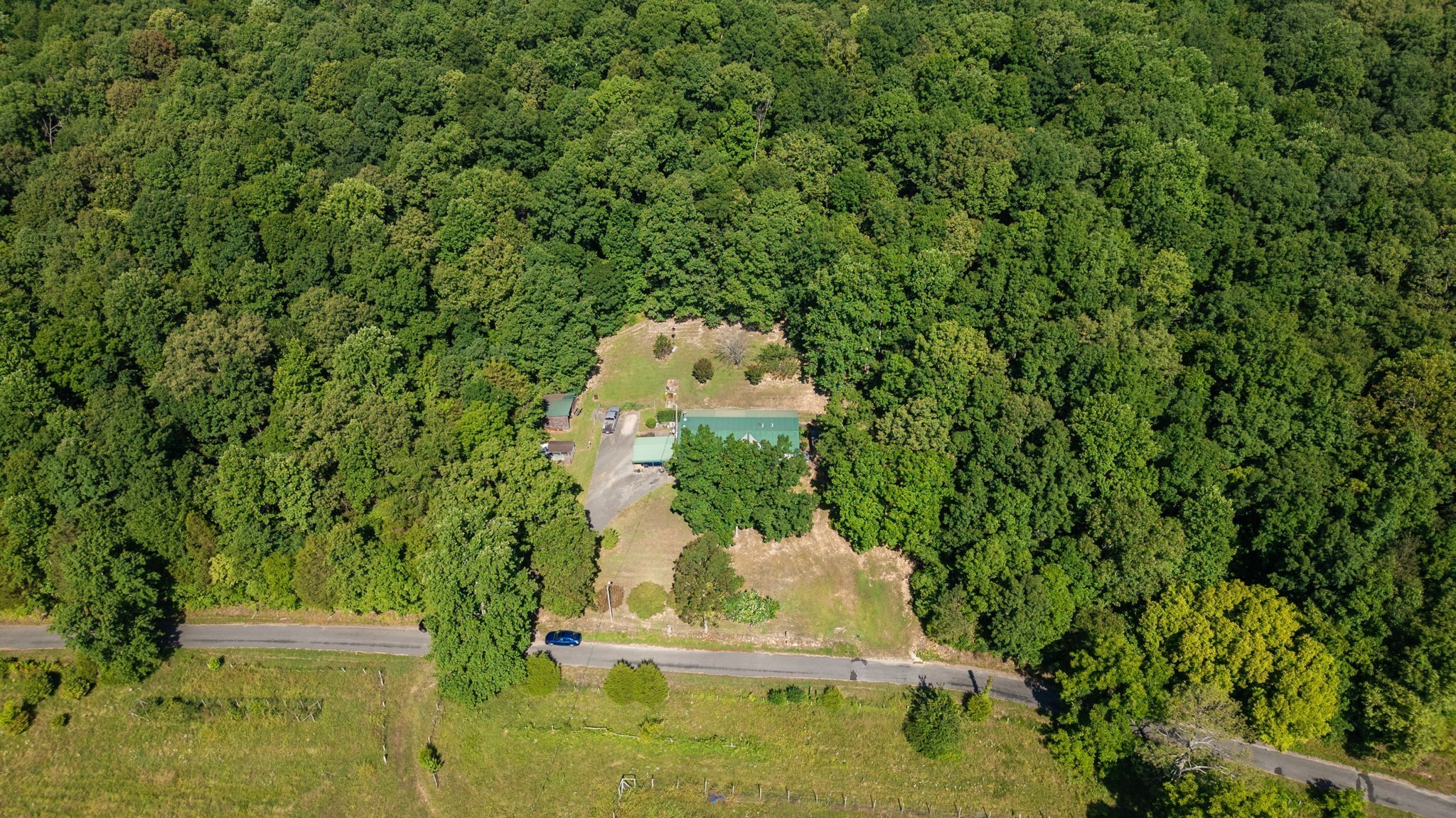 1194 Bailey Hollow Road Erin, TN 37061 - Photo 27 of 29 Gallery Image 27