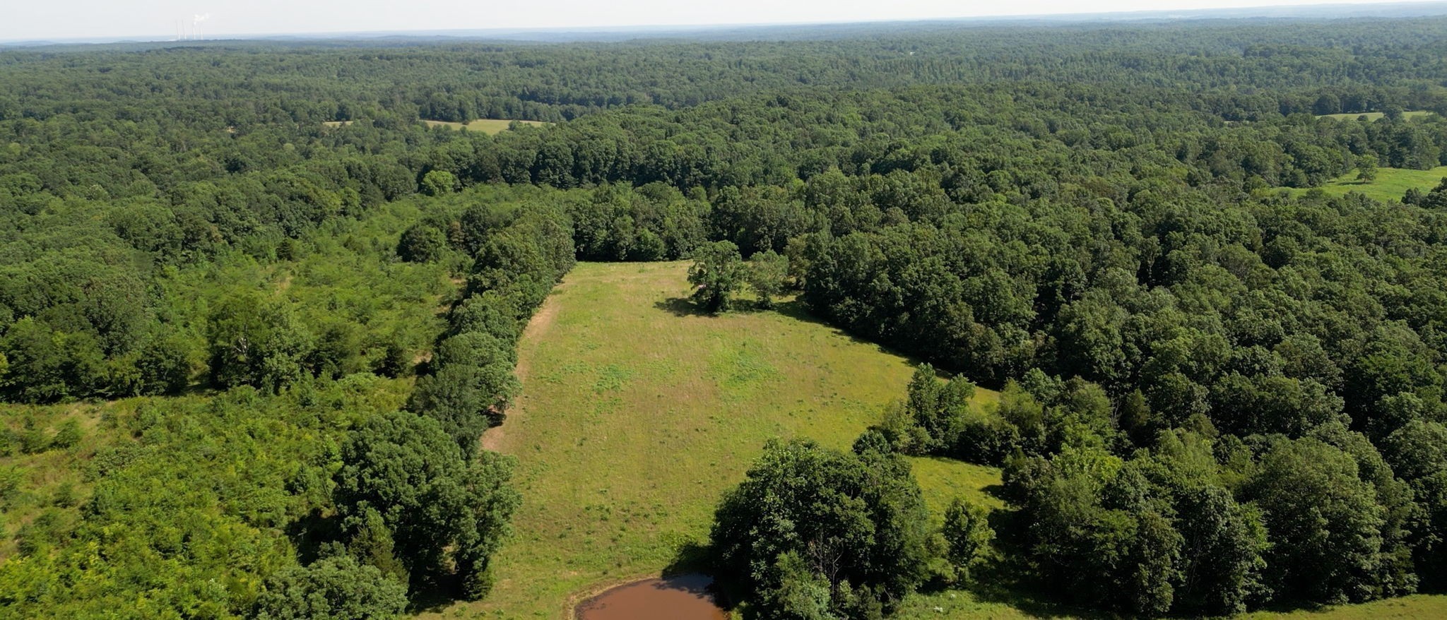 1194 Bailey Hollow Road Erin, TN 37061 - Photo 3 of 29 Gallery Image 3