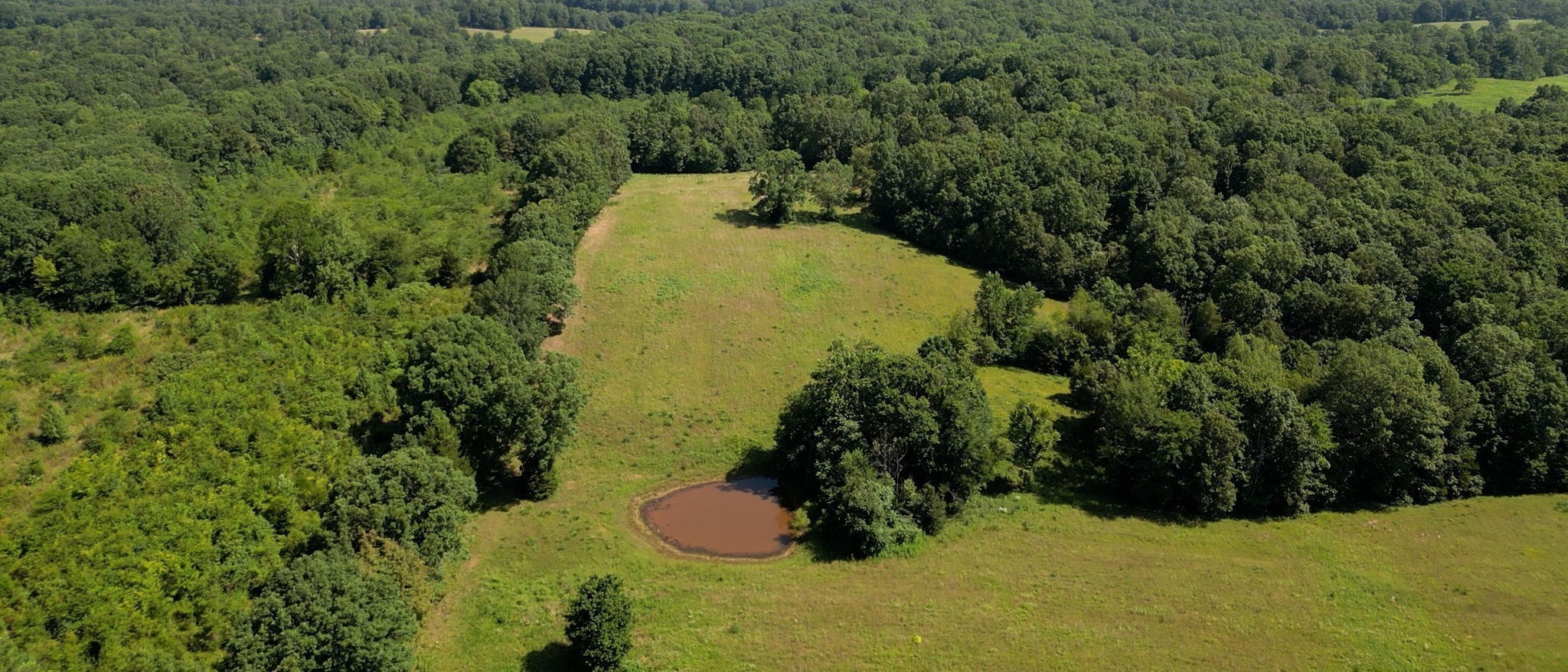1194 Bailey Hollow Road Erin, TN 37061 - Photo 4 of 29 Gallery Image 4