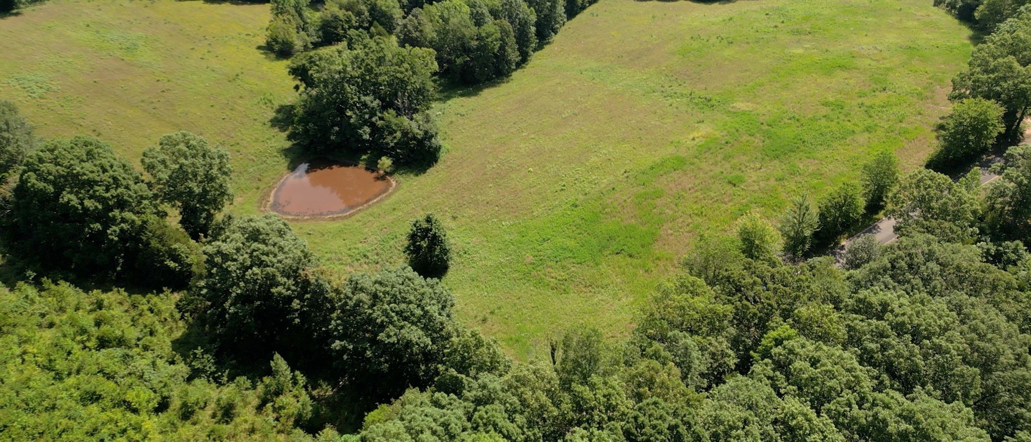 1194 Bailey Hollow Road Erin, TN 37061 - Photo 5 of 29 Gallery Image 5
