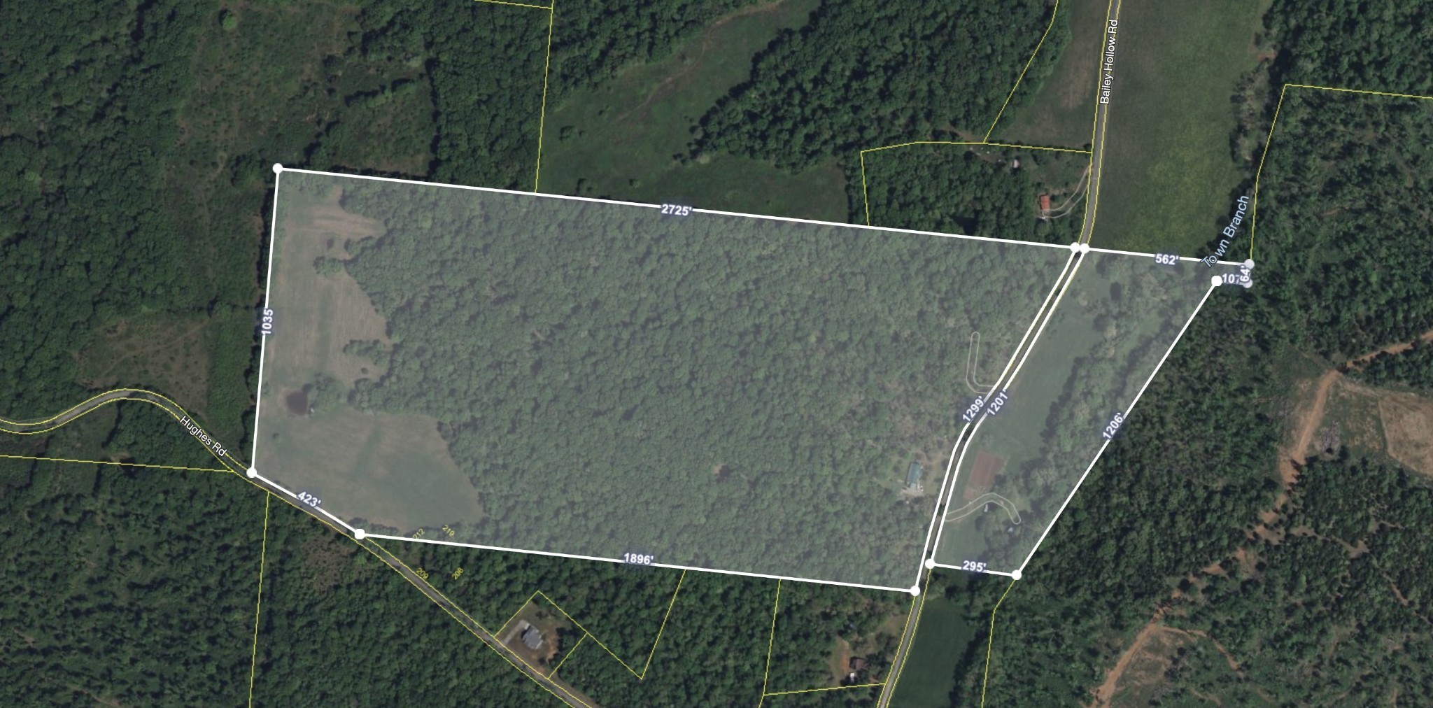 1194 Bailey Hollow Road Erin, TN 37061 - Photo 6 of 29 Gallery Image 6